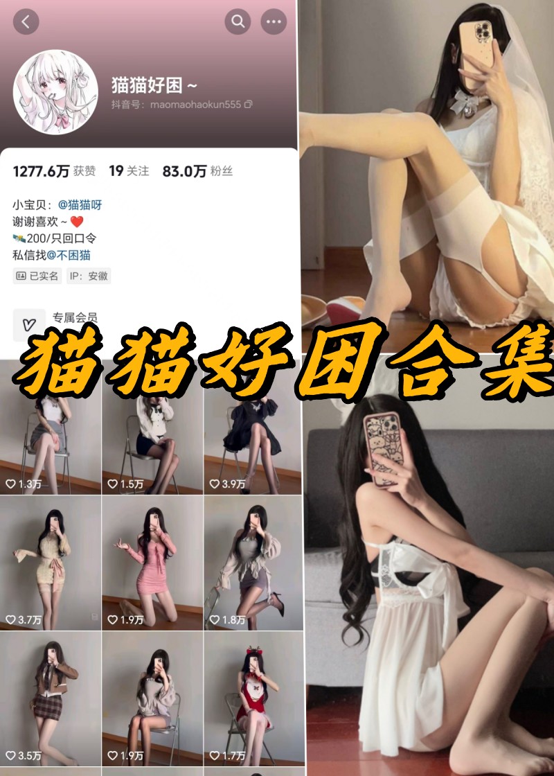 萌喵犯困私密瞬间：高清美图+独家视频大放送！-清美唯艺