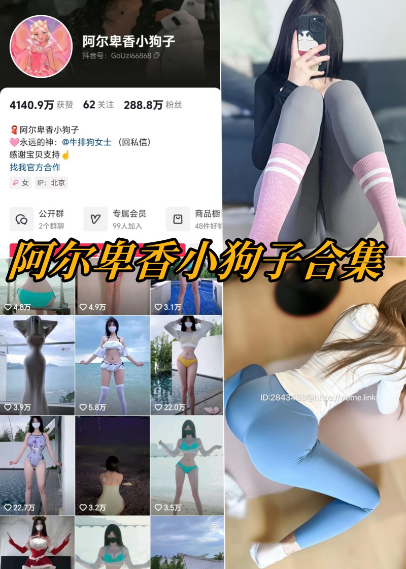 萌宠探秘：阿尔卑香小狗子私密萌态大放送！-清美唯艺